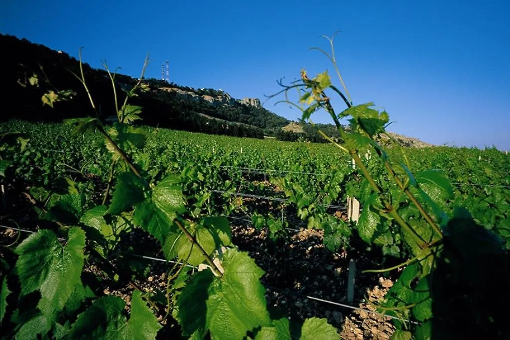 Maison d'hôtes Casa Nel Vigneto Erice Séjour à la campagne