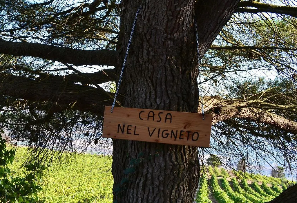 בית הארחה Casa Nel Vigneto אריצ'ה